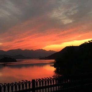 女性与蛇交交的视频
