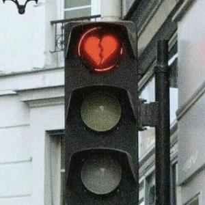 女性与蛇交交的视频
